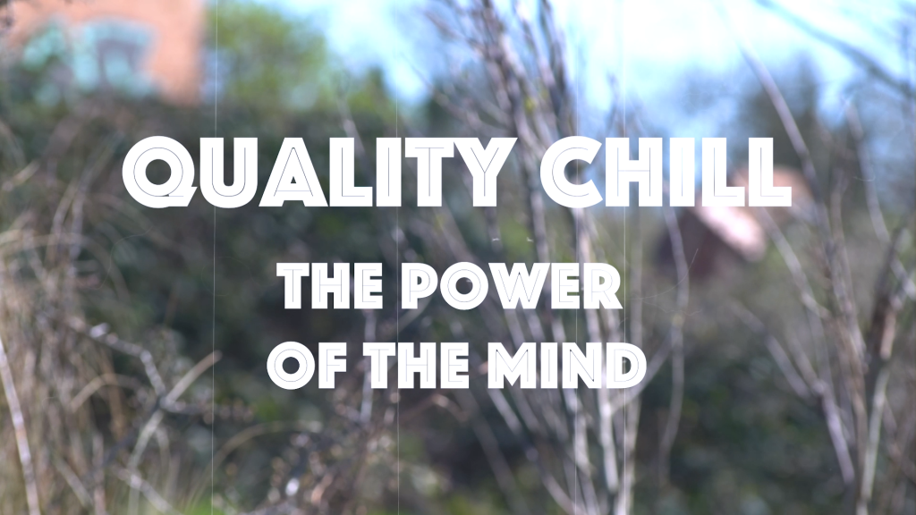 "Quality Chill: The Power Of The Mind" (2023)