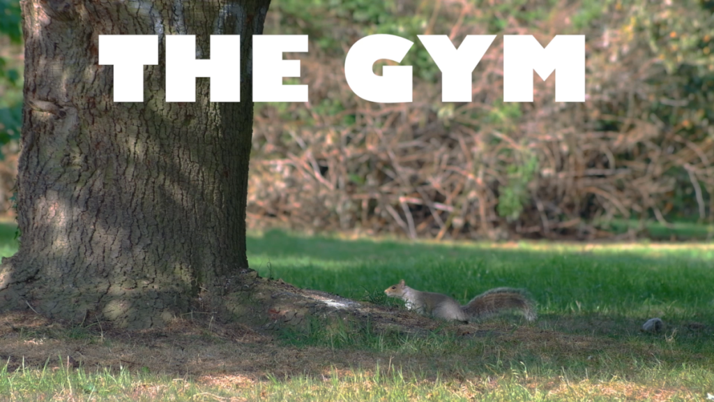 "The Gym" (2022)