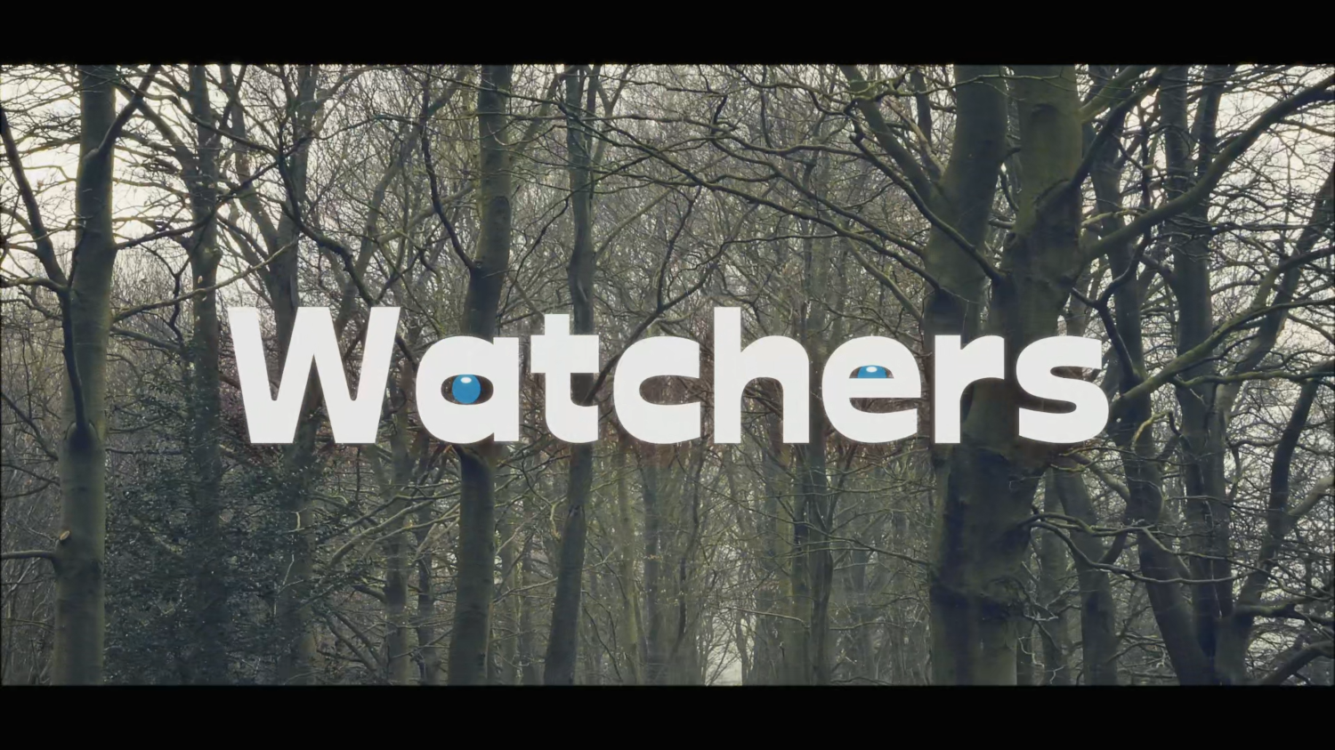 "Watchers" (2025) by Tom Ledan